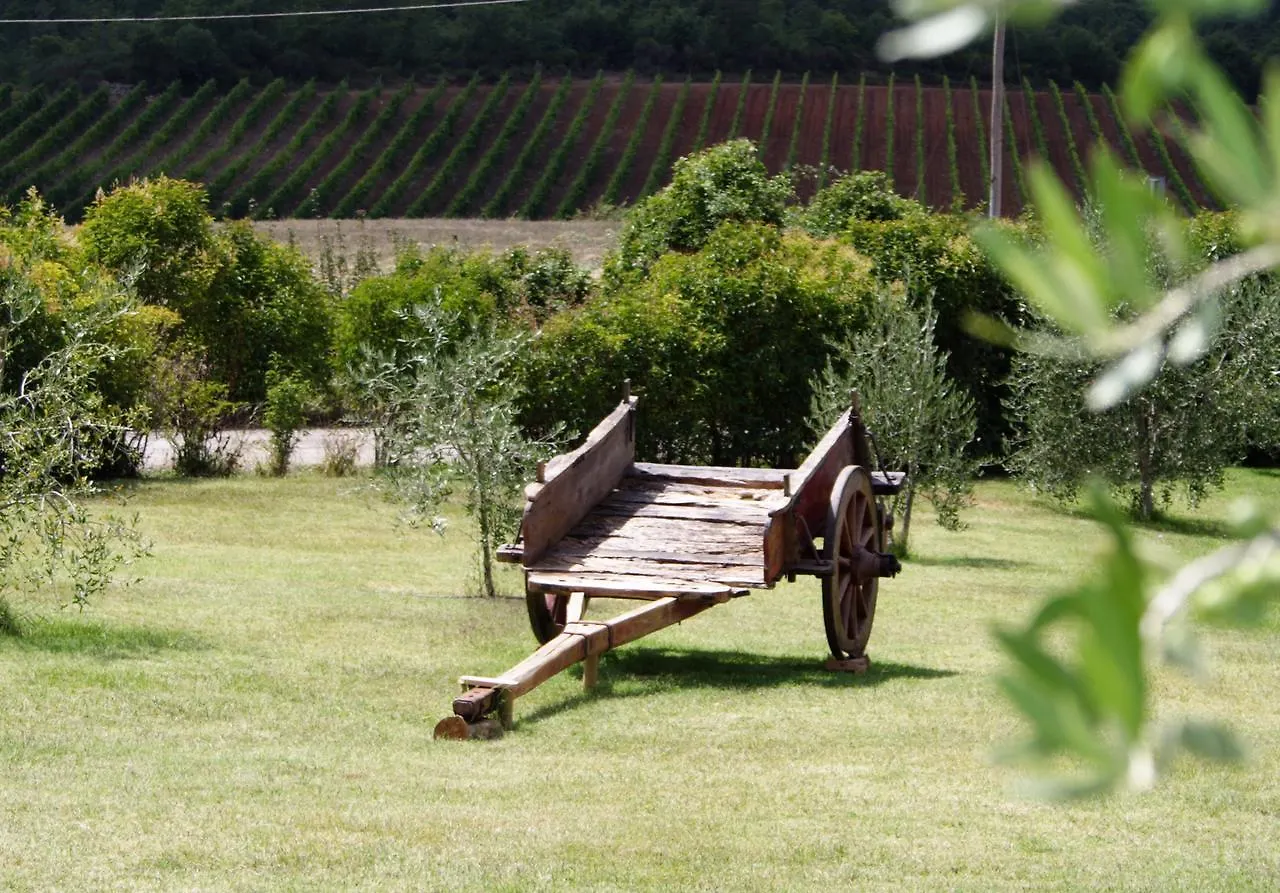 Piombaia Villa Montalcino Farm stay